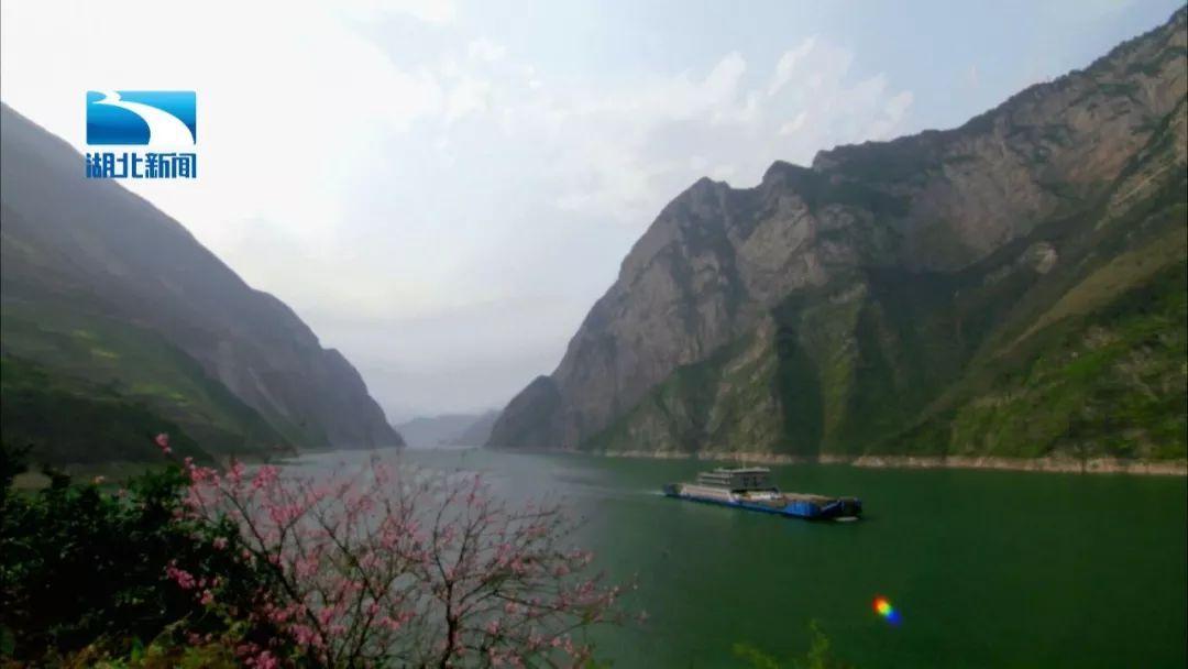 “海岸卫士”红树林在厦门筑起生态屏障